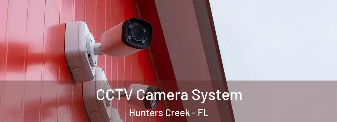CCTV Camera System Hunters Creek - FL