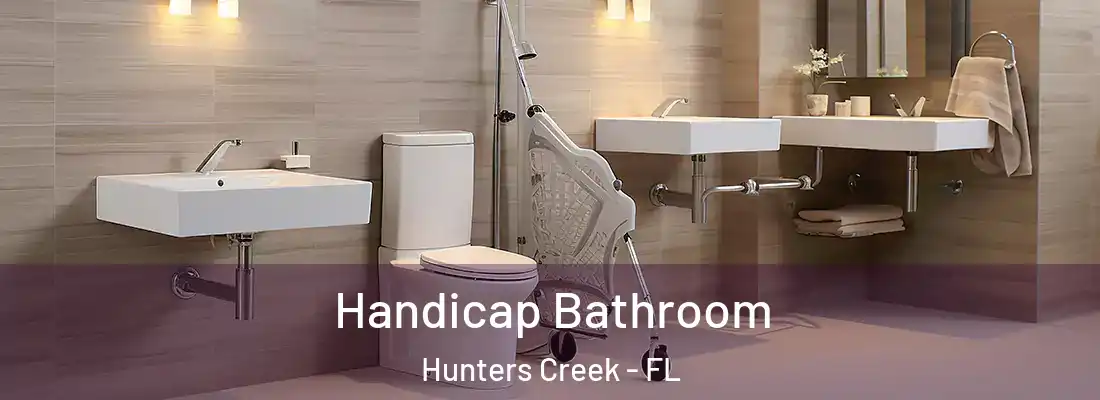 Handicap Bathroom Hunters Creek - FL